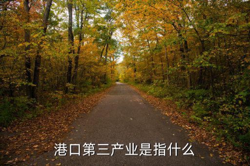 什么是第三產(chǎn)業(yè)，港口第三產(chǎn)業(yè)是指什么