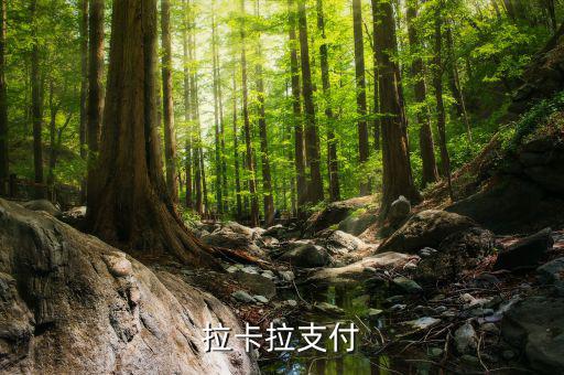 拉卡拉便利支付是什么，什么是銀聯(lián)拉卡啦支付