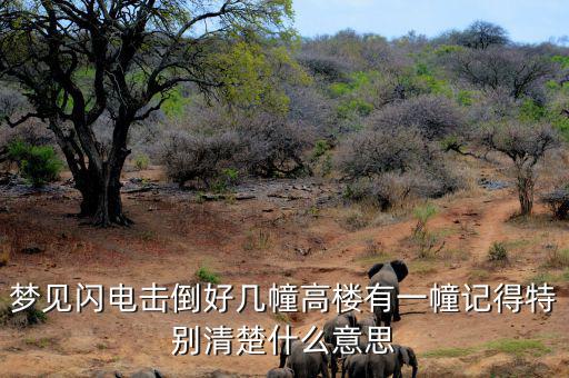 什么是閃電崩盤，a mini flash crash什么意思