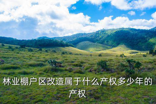 什么是林業(yè)棚戶區(qū)，請問蛟河林業(yè)棚戶區(qū)建造的樓房為什么收取物業(yè)費會和取暖費捆綁在一