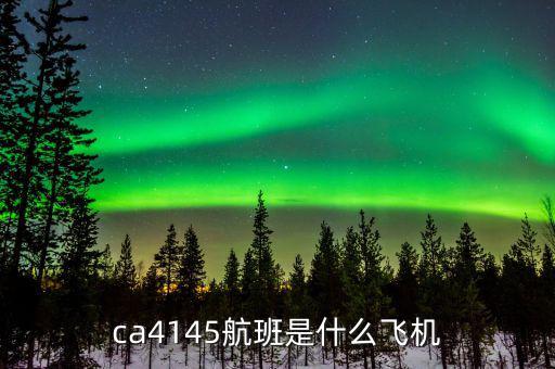 國(guó)航333是什么機(jī)型，飛機(jī)機(jī)型333怎么樣