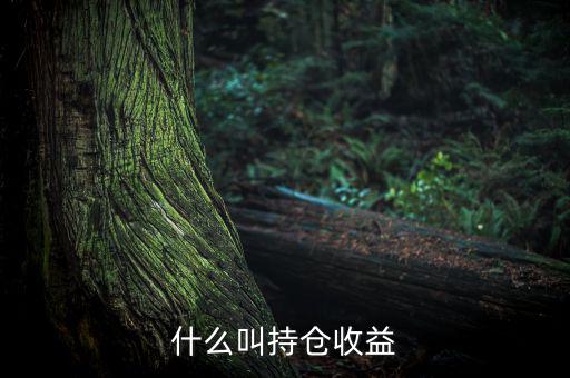 理財(cái)里的持倉(cāng)收益是什么意思，基金 持倉(cāng)收益7579 是什么意思啊 本人是新手