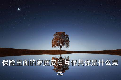 什么是共同被保險(xiǎn)人，保險(xiǎn)里面的家庭成員互保共保是什么意思