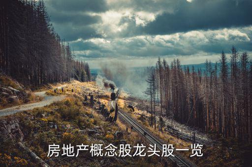 地產(chǎn)業(yè)有什么股票，房地產(chǎn)股票有哪些