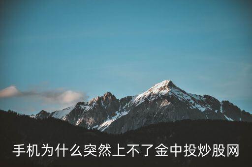 為什么不能用金航線炒股，中航證券的金航線手機(jī)版為什么不能申購新股