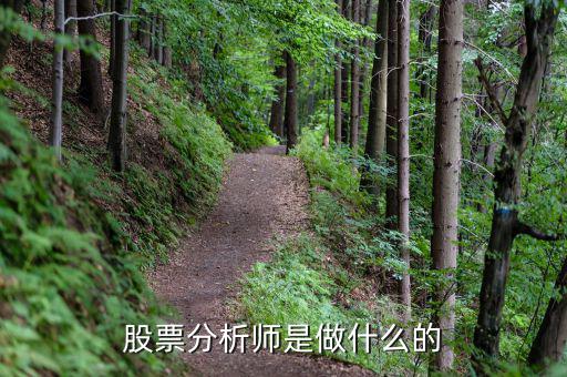 股票分析師都做什么，券商分析師要做什么工作