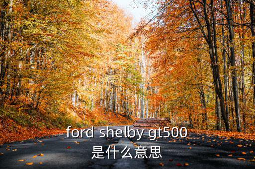 東盟油500是什么，ford shelby gt500是什么意思