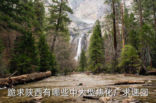 陜西有什么大的煉焦場，陜西省有大洗煤場嗎要待遇好的