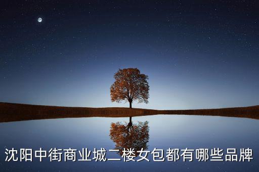中街商業(yè)城都有什么品牌，沈陽(yáng)中街商業(yè)城二樓女包都有哪些品牌