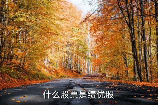 什么是績(jī)效股票，什么叫成長(zhǎng)股和績(jī)效股