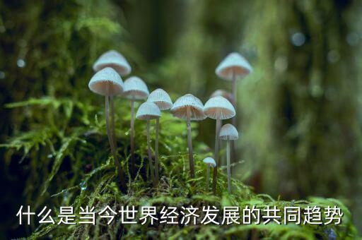 當(dāng)今世界經(jīng)濟(jì)趨勢(shì)是什么，什么是當(dāng)今世界經(jīng)濟(jì)發(fā)展的共同趨勢(shì)