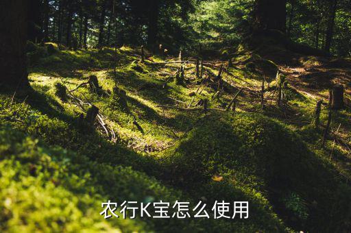 怎么用K寶買(mǎi)國(guó)債,建議用戶選擇非系統(tǒng)盤(pán)以免拖慢電腦