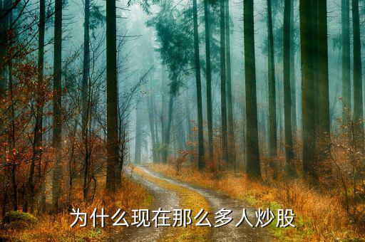 為什么那么多人炒股，為什么現(xiàn)在這么多人炒股票啊