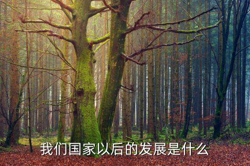 國家下一步發(fā)展是什么，我國經(jīng)濟(jì)下一步的發(fā)展方向是什么領(lǐng)域