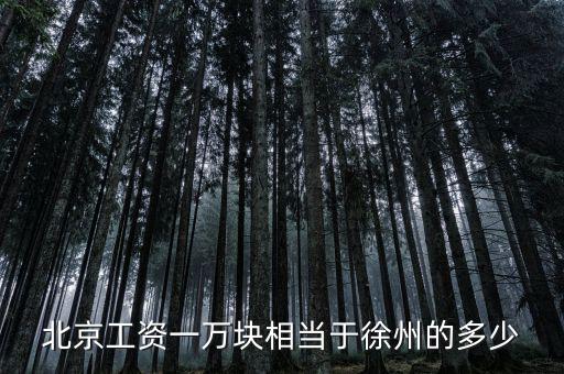 北京月薪1萬什么概念，在北京月薪1萬算高嗎