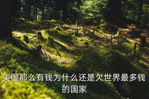 為什么美國欠中國錢，世界第一經(jīng)濟體美國 為什么還要向中國借錢