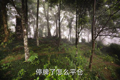 股票黑名單什么意思，股票配售黑名單是什么意思