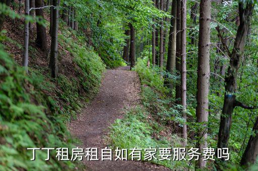丁丁租房都收取什么費用，丁丁租琴的費用怎么算