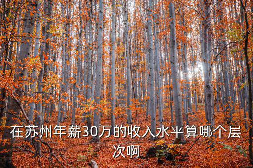 年薪三十萬元處于什么階層，在蘇州年薪30萬的收入水平算哪個(gè)層次啊
