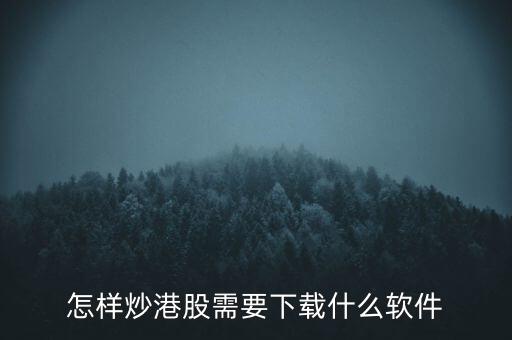 港股資金進(jìn)出用什么軟件，現(xiàn)在內(nèi)地的炒股滬港通用什么軟件