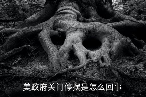 為什么美國政府關(guān)門，美國國會為什么關(guān)門