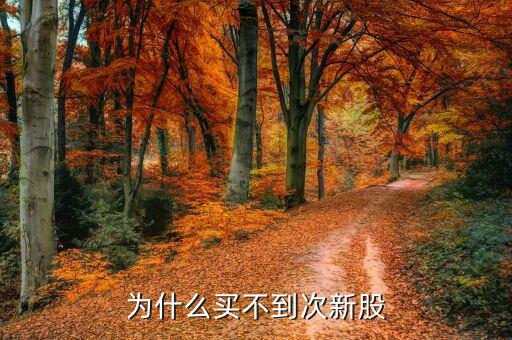 為什么次新股不能買，為什么買不到次新股