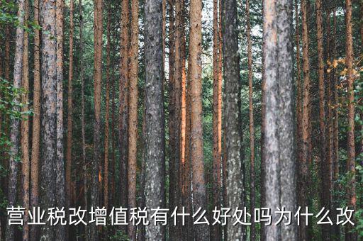 為什么營改增，營改增有什么意義和影響