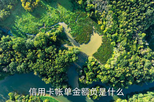 深圳發(fā)展銀行信用卡負(fù)金額是什么意思，信用卡帳單金額負(fù)是什么