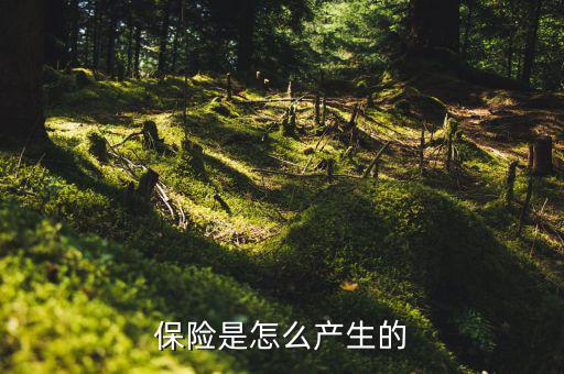 保險(xiǎn)的原理是什么，保險(xiǎn)是怎么產(chǎn)生的