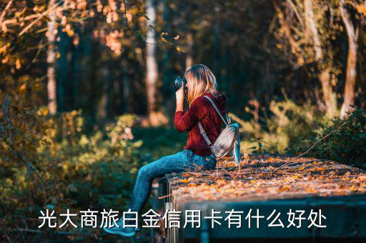 光大白金卡有什么好處，光大銀行白金卡的好處我提供本人的100平以上的房產(chǎn)證和作為法人