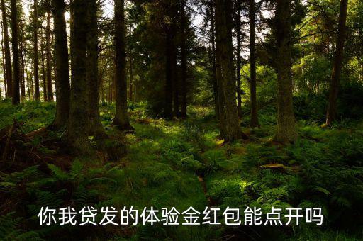 你我貸的體驗(yàn)金是什么意思，你我貸體驗(yàn)金怎么用