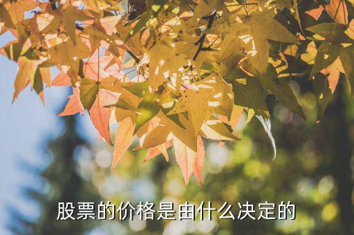 股票價(jià)格由什么決定的，股票的價(jià)格是由什么決定的