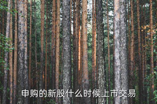 一般新股價(jià)什么時(shí)候出來(lái)，申購(gòu)的新股什么時(shí)候上市交易