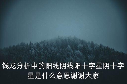 錢(qián)龍分析中的陽(yáng)線陰線陽(yáng)十字星陰十字星是什么意思謝謝大家