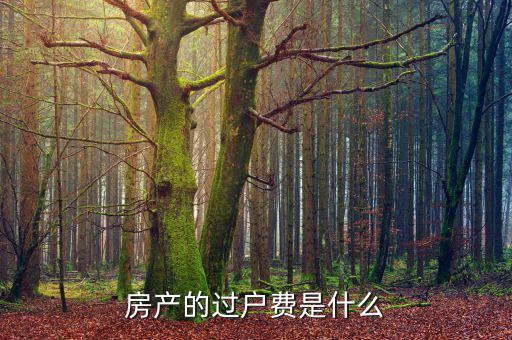什么是過戶費，房產(chǎn)的過戶費是什么