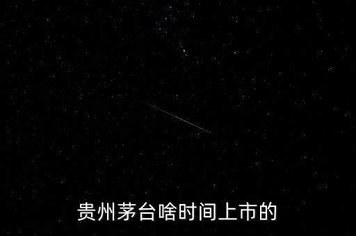 貴州茅臺(tái)什么時(shí)候上市，貴州茅臺(tái)啥時(shí)間上市的