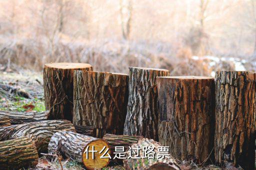什么是過(guò)票行為，使用較消過(guò)的發(fā)票是什么行為