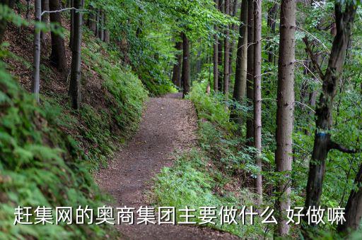 奧骨集團(tuán)是做什么的，趕集網(wǎng)的奧商集團(tuán)主要做什么 好做嘛