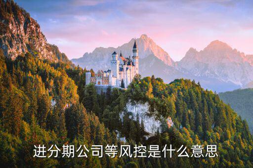 好期貸風(fēng)控審核是什么，進分期公司等風(fēng)控是什么意思
