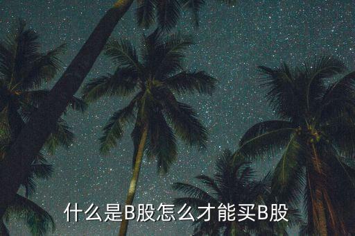 什么是b股賬戶，A股B股帳戶問題