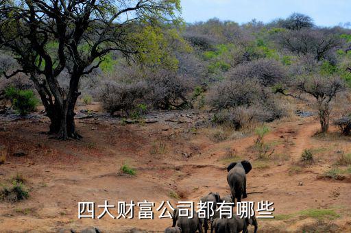重啤集團還有什么資產(chǎn)，四大財富公司都有哪些