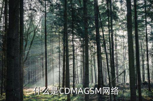 電信cdma是什么網(wǎng)絡(luò)，cdma是什么網(wǎng)絡(luò)