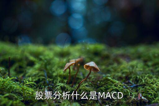 股票中macd是什么意思，股票中MACD指標(biāo)是什么意思