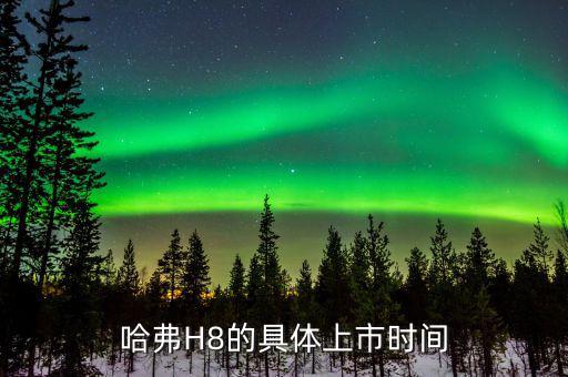 h8什么時(shí)候上市，長(zhǎng)城哈佛H8什么時(shí)間上市