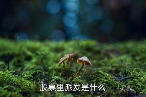 什么是股票派發(fā)，股票什么叫派發(fā)