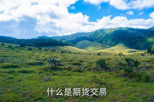 什么叫期貨交易，什么是期貨交易