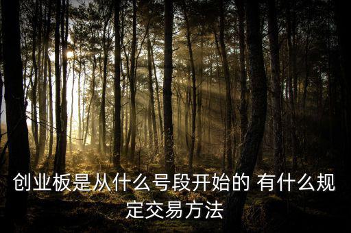 創(chuàng)業(yè)板什么開頭，創(chuàng)業(yè)板代碼什么數(shù)字開頭