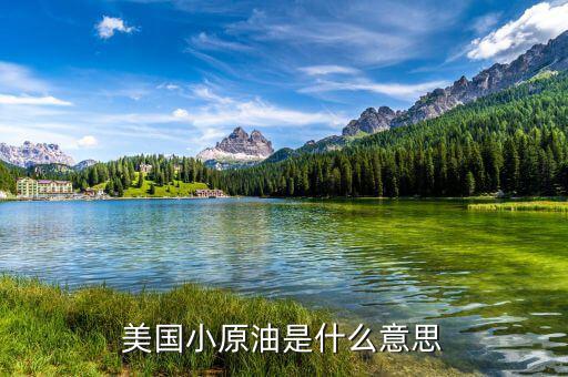 美國原油是什么意思，看盤上的美國原油0102什么意思