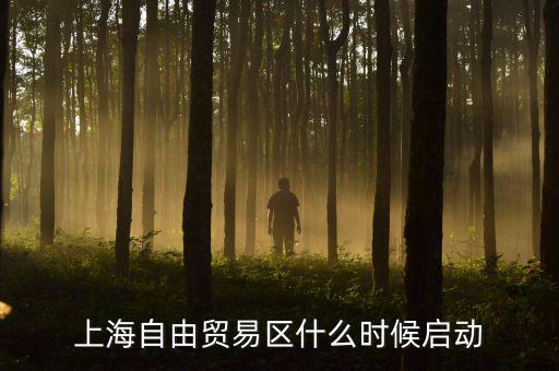 上海自貿(mào)區(qū)什么時(shí)候開(kāi)放，上海自由貿(mào)易區(qū)什么時(shí)候啟動(dòng)