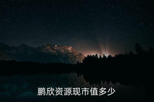鵬欣資源是什么公司，鵬欣資源現(xiàn)市值多少